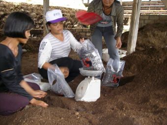 macrae-2.jpg macrae-2.jpg